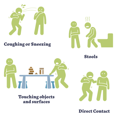 hand foot and mouth disease Transmission